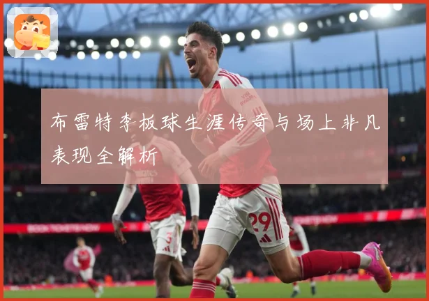 布雷特李板球生涯传奇与场上非凡表现全解析