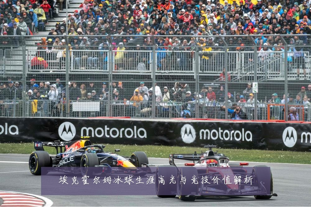 埃克霍尔姆冰球生涯高光与竞技价值解析